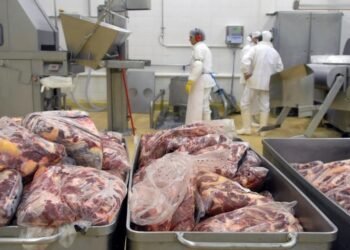 La síntesis del día Retrocedió un 14% la venta de carne vacuna a mercados externos