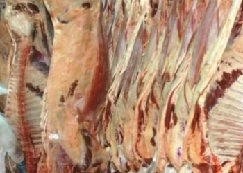 Cambio de tendencia Cayó el volumen de exportaciones de carne