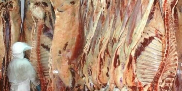 Cambio de tendencia Cayó el volumen de exportaciones de carne