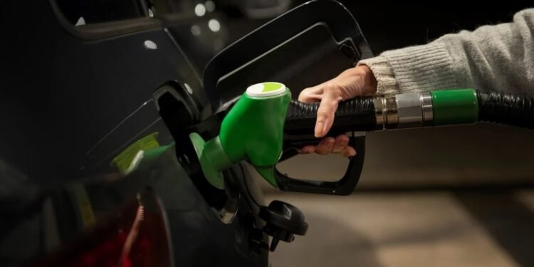 En la misma línea Combustibles: aumentaron los precios de biodiesel y bioetanol