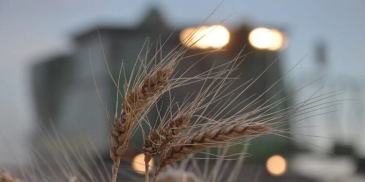 La Síntesis del día Los dólares no llueven pero abren esperanzas a los que invierten y trabajan