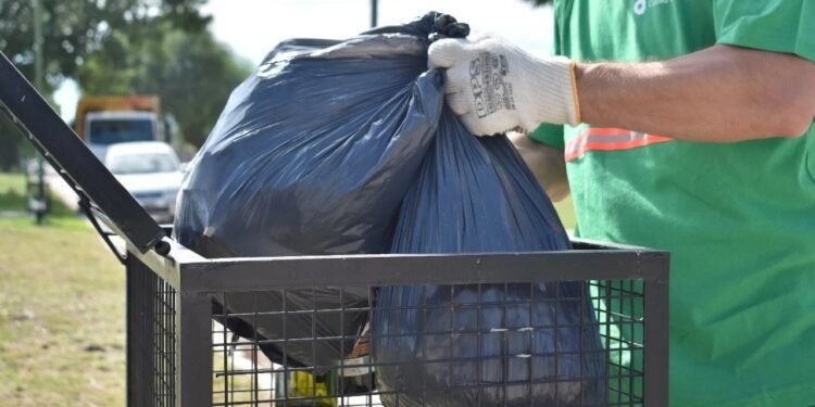 Conocé cómo serán los servicios municipales para el lunes 13 y miércoles 15 de noviembre