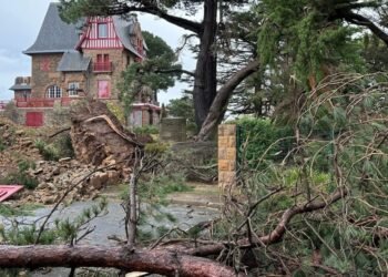 Dejó un muerto Un temporal azotó Francia: los apagones afectan a 1,2 millones de hogares