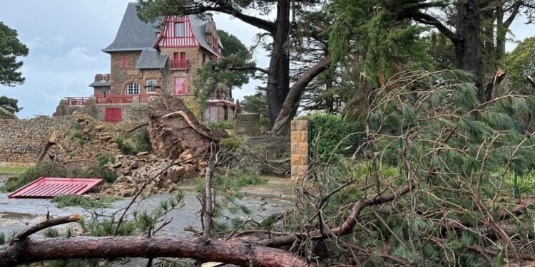 Dejó un muerto Un temporal azotó Francia: los apagones afectan a 1,2 millones de hogares