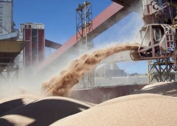 Clave para el próximo gobierno Las exportaciones del complejo sojero subirán un 125% en la próxima campaña