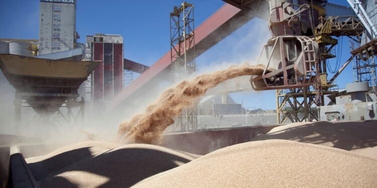 Clave para el próximo gobierno Las exportaciones del complejo sojero subirán un 125% en la próxima campaña