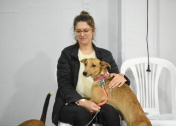 Continúan las castraciones en las vecinales