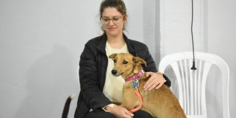 Continúan las castraciones en las vecinales