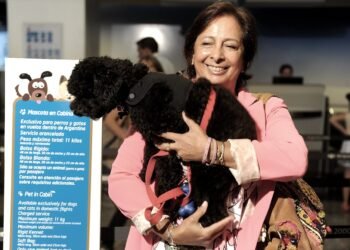 Como funcionará el nuevo sistema digital para viajar con mascotas al exterior