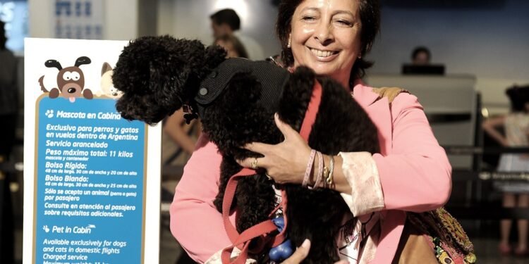 Como funcionará el nuevo sistema digital para viajar con mascotas al exterior