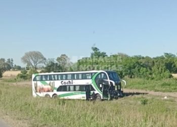 Colectivo de turistas impacta con dos caballos en ruta 34