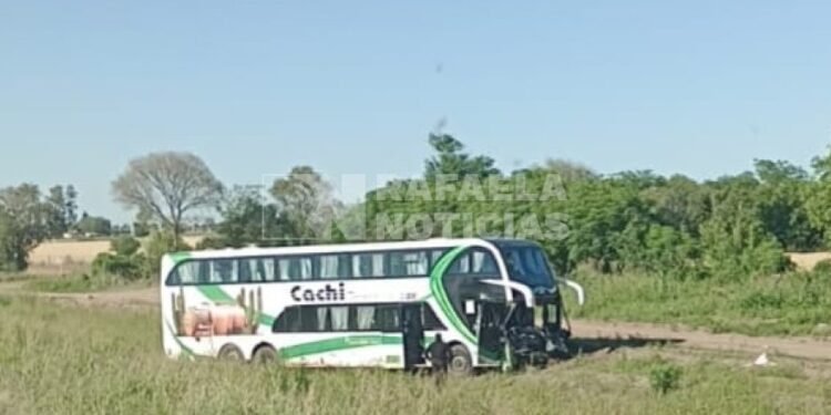 Colectivo de turistas impacta con dos caballos en ruta 34
