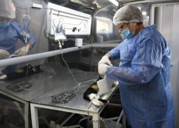 Se harán castraciones gratuitas en distintas vecinales