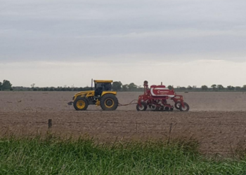 Las lluvias condicionan la evolución de la campaña agrícola en la región