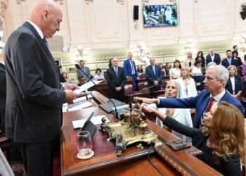 Dionisio Scarpin asumió como diputado provincial