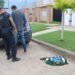 Un joven fue detenido tras robar una bomba de agua