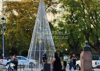 Frente al arbolito de Navidad, nada de paz: una motociclista agredió a trompadas a una inspectora de tránsito
