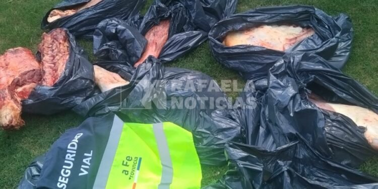 Ruta Nacional 34: llevaba un animal de 150 kg carneado y no pudo justificar su origen