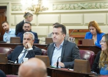 El socialismo se mostró disconforme con el decreto de Milei