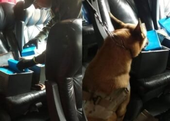 Trasladaban más de 25 kilos de cocaína ocultos en dos cajas metálicas