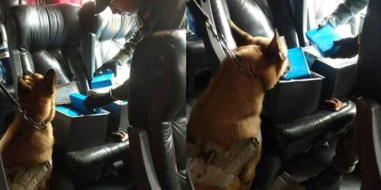 Trasladaban más de 25 kilos de cocaína ocultos en dos cajas metálicas