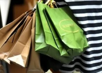 La síntesis del día Las ventas minoristas pyme cayeron 2,9 por ciento interanual en noviembre