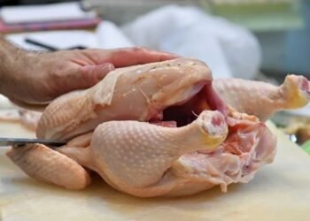 La inflación de alimentos y bebidas viajó al 13,9% en dos semanas de diciembre