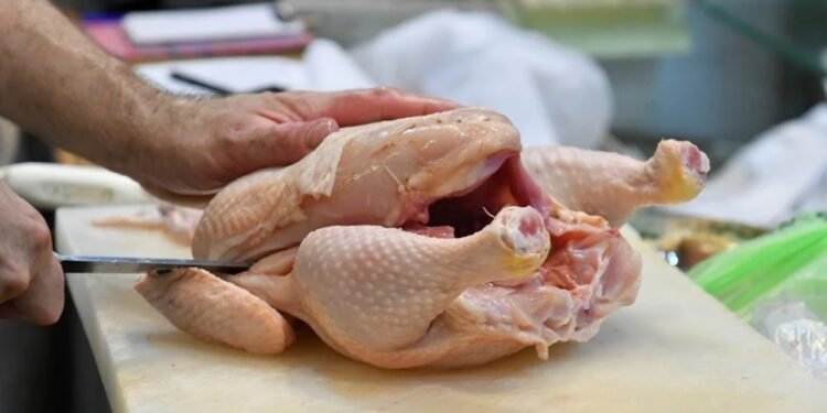 La inflación de alimentos y bebidas viajó al 13,9% en dos semanas de diciembre