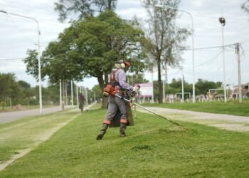 El equipo de Viotti trabaja contrarreloj en la reconstrucción del área de Espacios Verdes y ya se vislumbran resultados