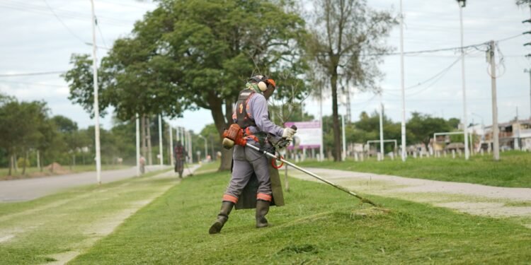 El equipo de Viotti trabaja contrarreloj en la reconstrucción del área de Espacios Verdes y ya se vislumbran resultados
