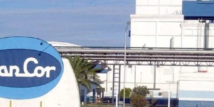 SanCor láctea procura normalizar su producción