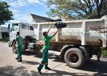 ¿Cómo se organizará la recolección de residuos en Navidad?