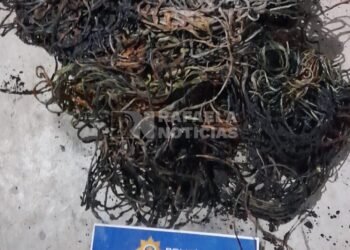 Los encontraron quemando cables, agredieron a la Policía y dañaron un patrullero