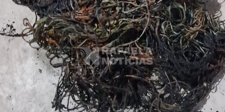 Los encontraron quemando cables, agredieron a la Policía y dañaron un patrullero