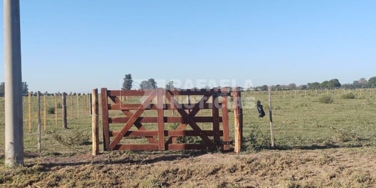 Corrales municipales vacíos y cada vez más caballos sueltos