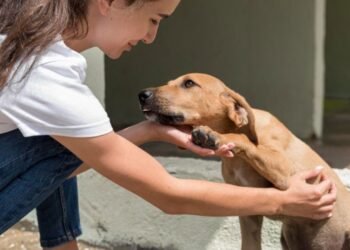 El Quirófano Móvil se traslada al barrio 2 de Abril