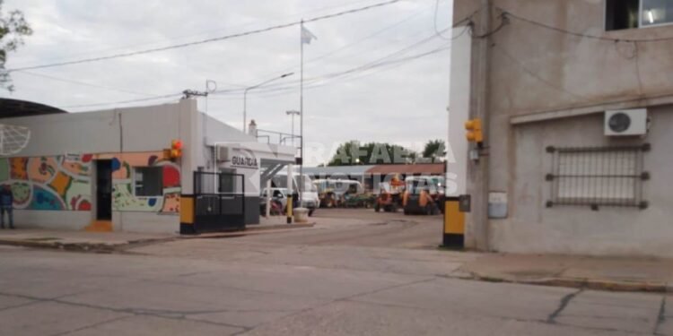 Denuncia de violencia laboral hacia un encargado en el Corralón Municipal