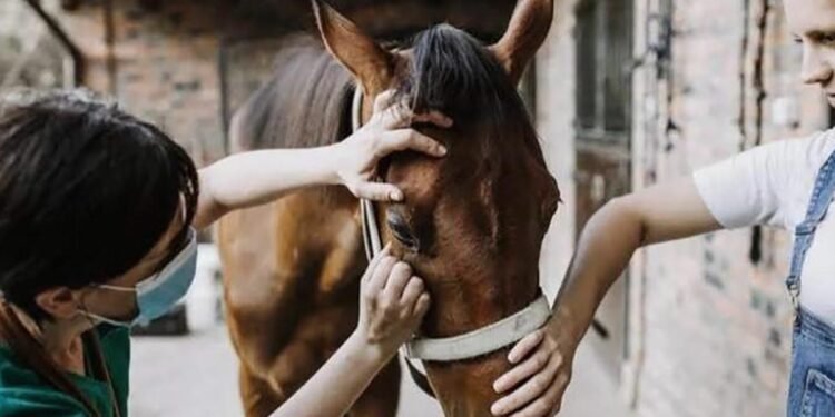 Encefalitis equina: situación epidemiológica y un sistema integrado de alerta para la provincia de Santa Fe