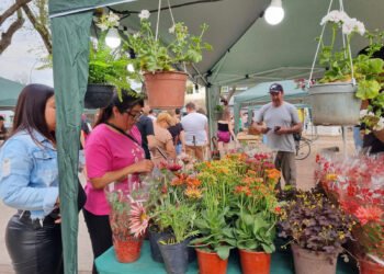 Feria desde el Origen: última edición 2023