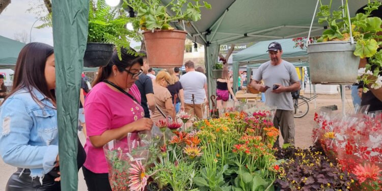 Feria desde el Origen: última edición 2023