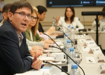 Goity llevó la agenda de Santa Fe al Consejo Federal de Educación