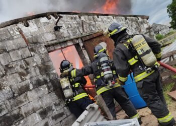 Se incendió una chacra porcina en Bella Italia: murieron más de 350 cerdos