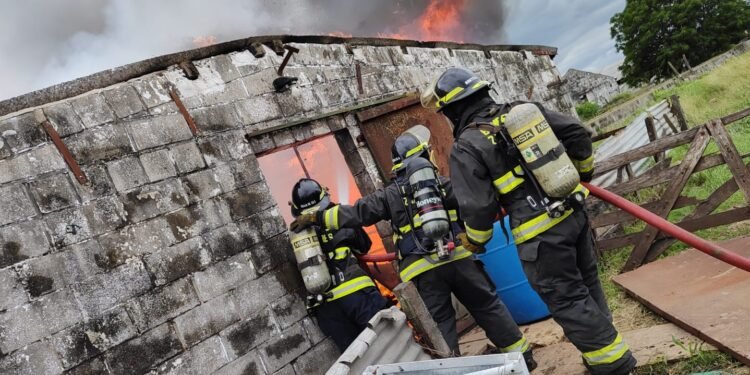 Se incendió una chacra porcina en Bella Italia: murieron más de 350 cerdos