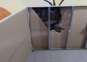 Viotti refuerza seguridad ante el aumento de robos en áreas municipales descentralizadas