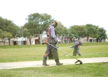 Desmalezado de espacios verdes: paulatina normalización del servicio en la ciudad