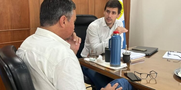 Seguridad en Rafaela: vuelven las cámaras lectoras de patentes