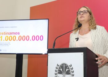 Salud: la ministra Ciancio aseguró que se cumplieron pagos por 20 mil millones de pesos