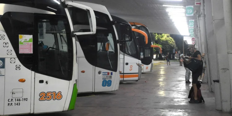 Analizan las tarifas de colectivos urbanos e interurbanos tras el recorte de subsidios nacionales