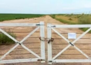 «Uno de los más grandes infractores»: el gobierno de Santa Fe intimó a un productor rufinense