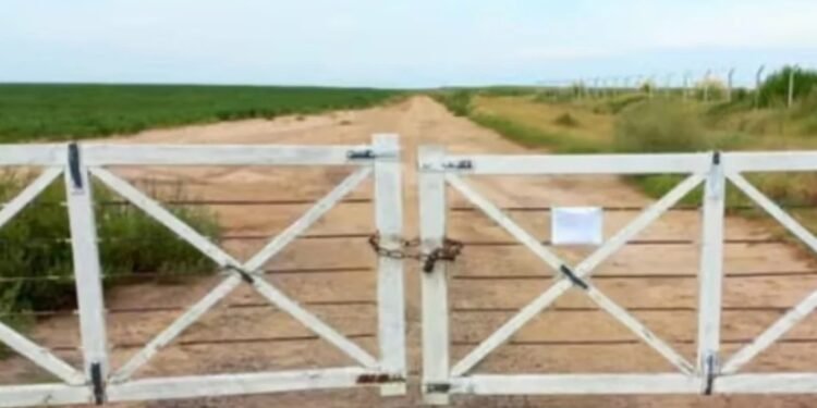 «Uno de los más grandes infractores»: el gobierno de Santa Fe intimó a un productor rufinense